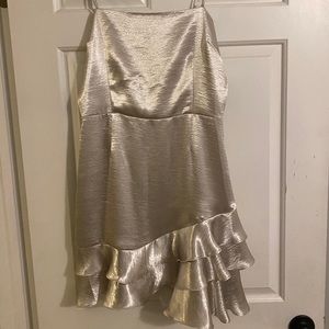 BB Dakota silk dress